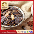 Roasted Sunflower Seed Hot Sale New Crop